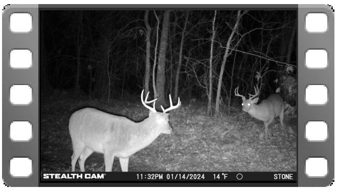 Bucks 2 video thumbnail